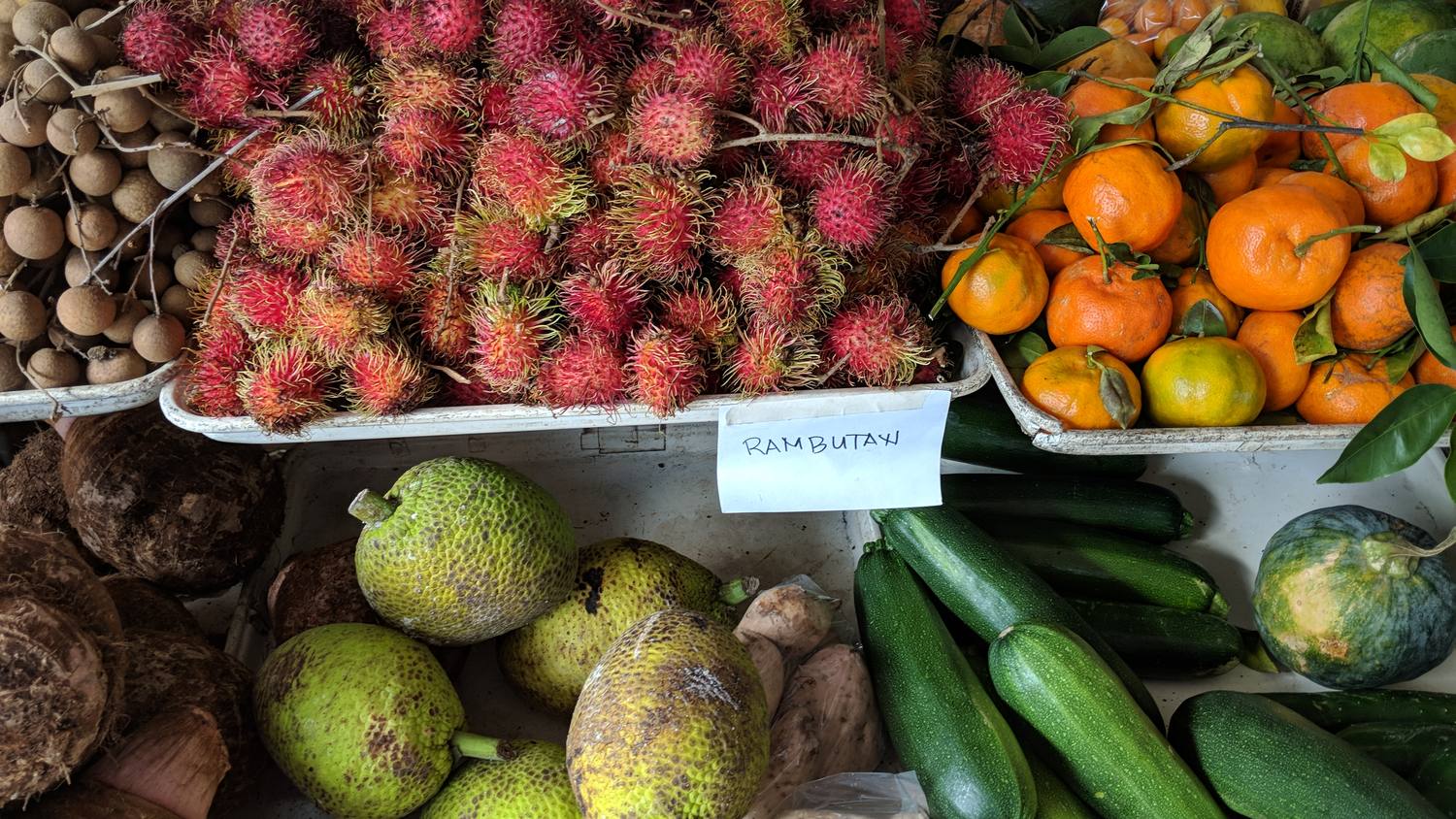 Market trays of hairy red rambutan labeled RAMBUTAN, bright tangerines with leaves, round green breadfruit, brown taro roots, small brown longan, and zucchini.