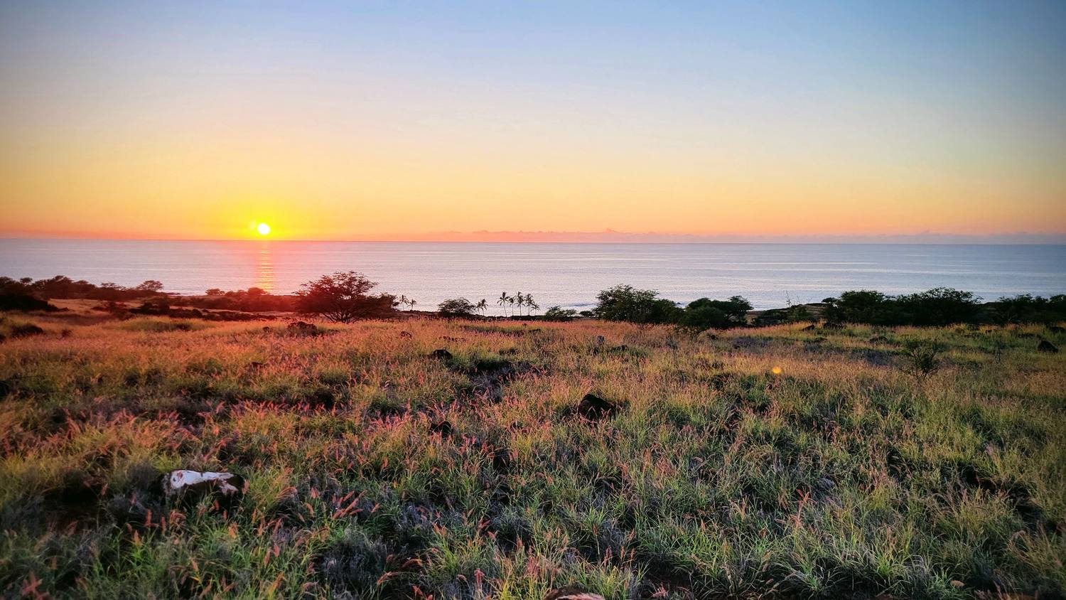 The sun setting into a calm ocean under an orange and yellow sky, over a dry grassy field with low trees along the shore.