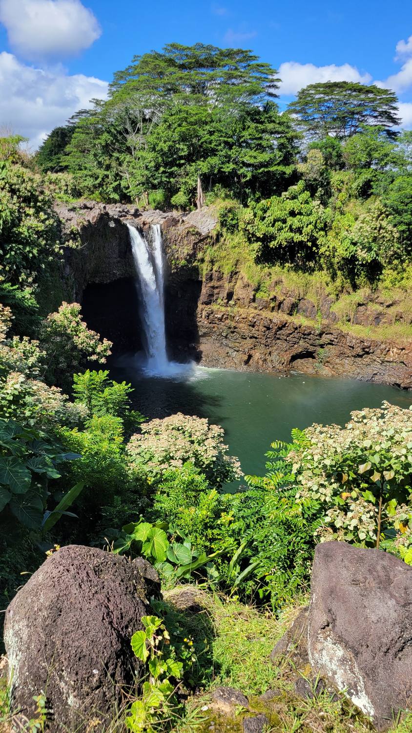 Rainbow Falls in Hilo: a waterfall pouring over a dark lava ledge into a round green pool, framed by tropical trees and flowering shrubs, with boulders in front.