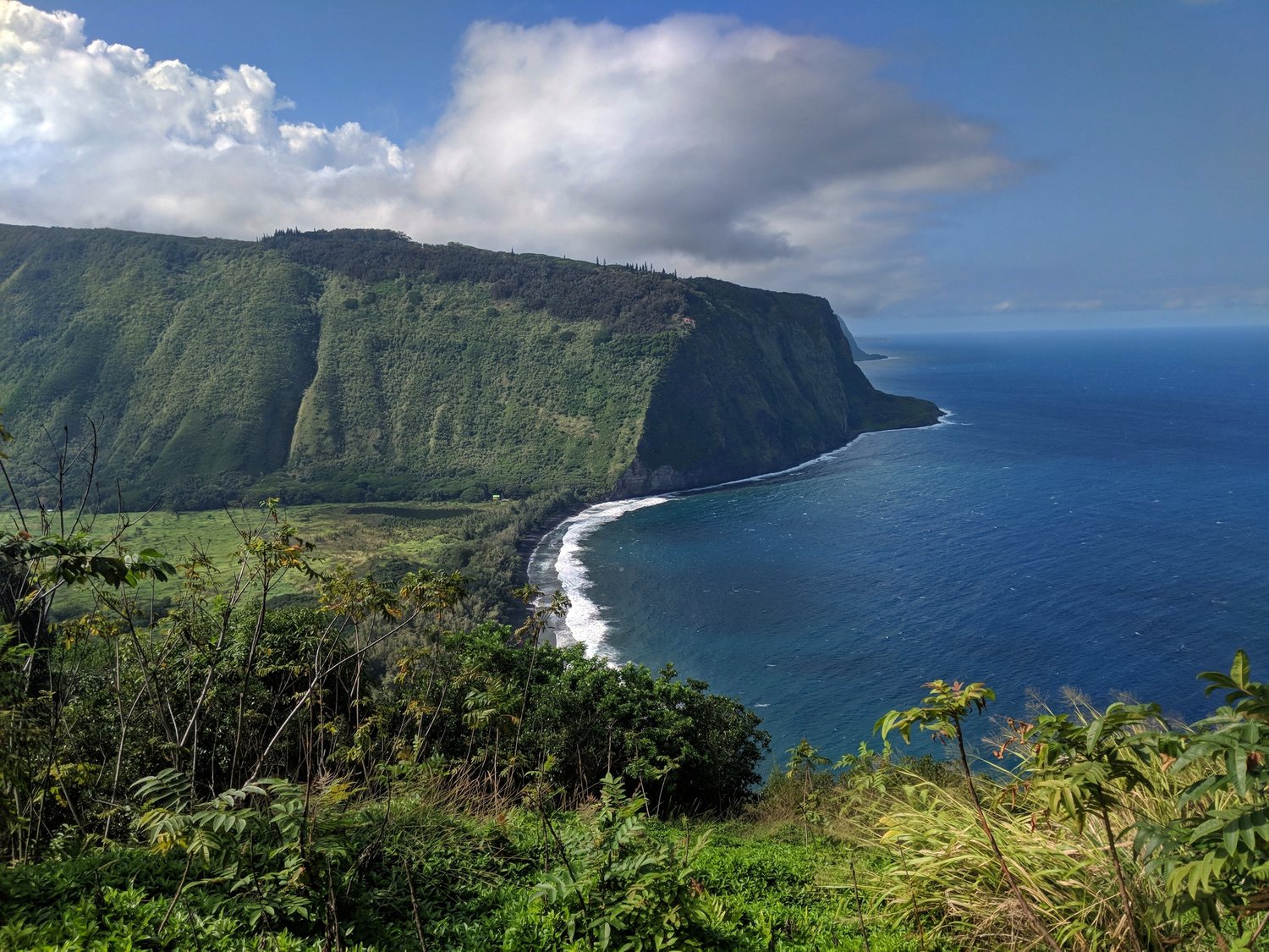 Waipiʻo Valley from the lookout: steep green cliffs dropping to the sea, a curving black-sand beach with white surf, a flat green valley floor, and deep blue water.