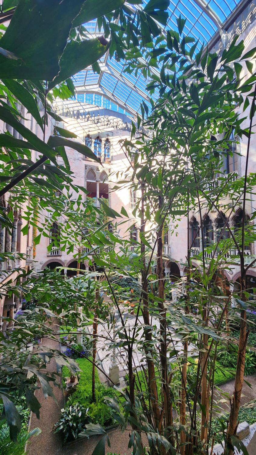 Looking down into the Gardner courtyard from an upper floor through tall, leafy plants, with sunlight pouring through the glass roof onto pink arched walls.