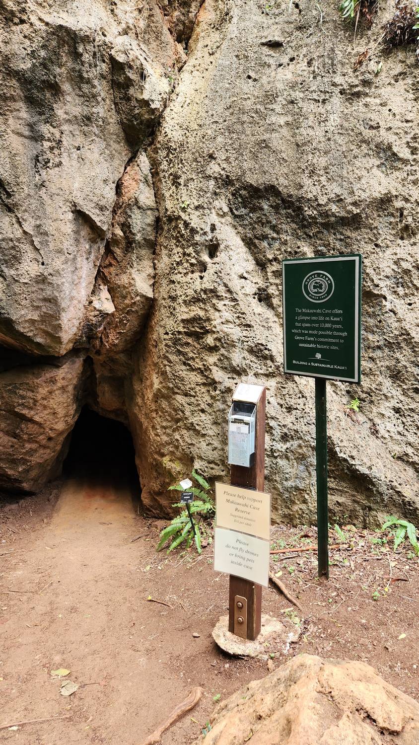The low, dark cave entrance at the foot of a pale limestone cliff, next to a green Grove Farm sign and a wooden donation box.