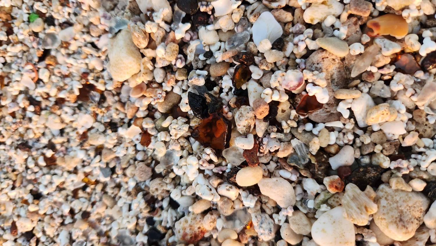 Glass Beach in ʻEleʻele, Kauaʻi: white coral bits, shells, dark basalt, and a few pieces of brown and clear sea glass.