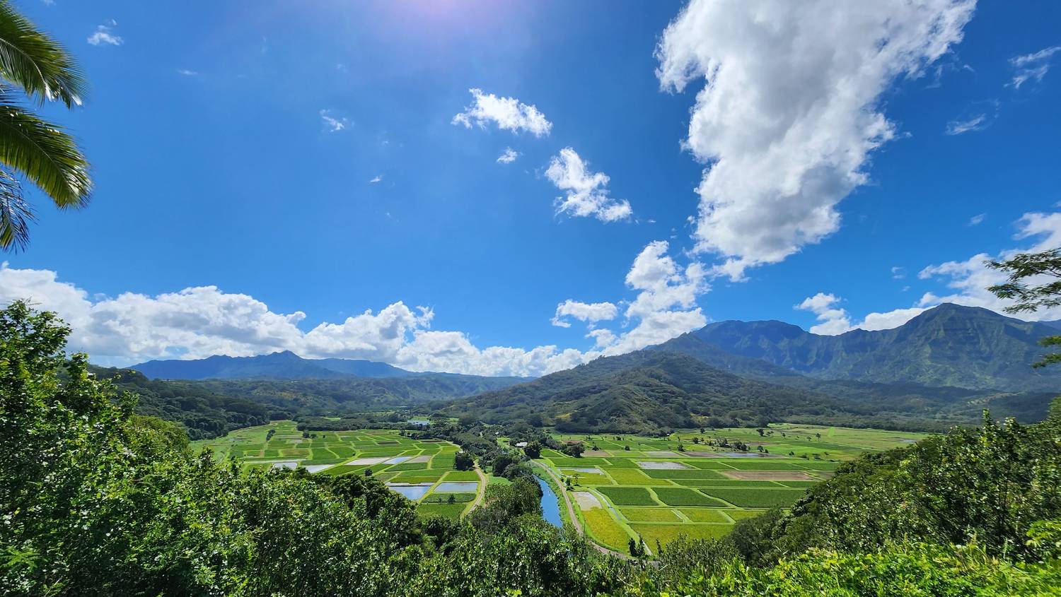 Hanalei Valley from above: a patchwork of bright green and flooded taro fields along a winding blue river, green mountains beyond, big white clouds in a deep blue sky.