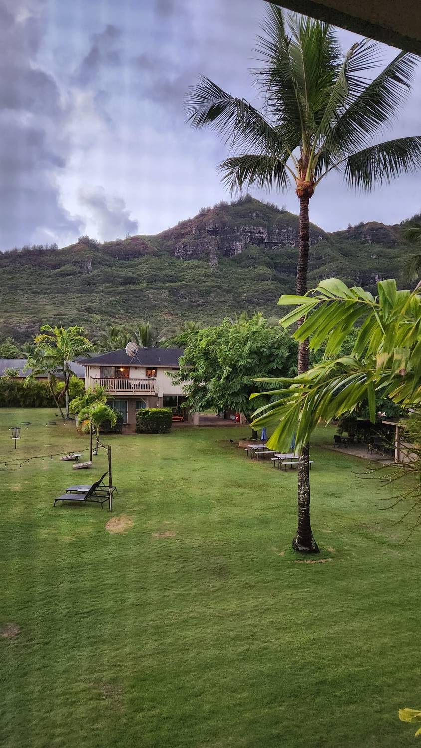 Early morning from a hotel lanai in Līhuʻe: a wide green lawn with palm trees and lounge chairs, low buildings, and a jagged green ridge under heavy gray clouds.