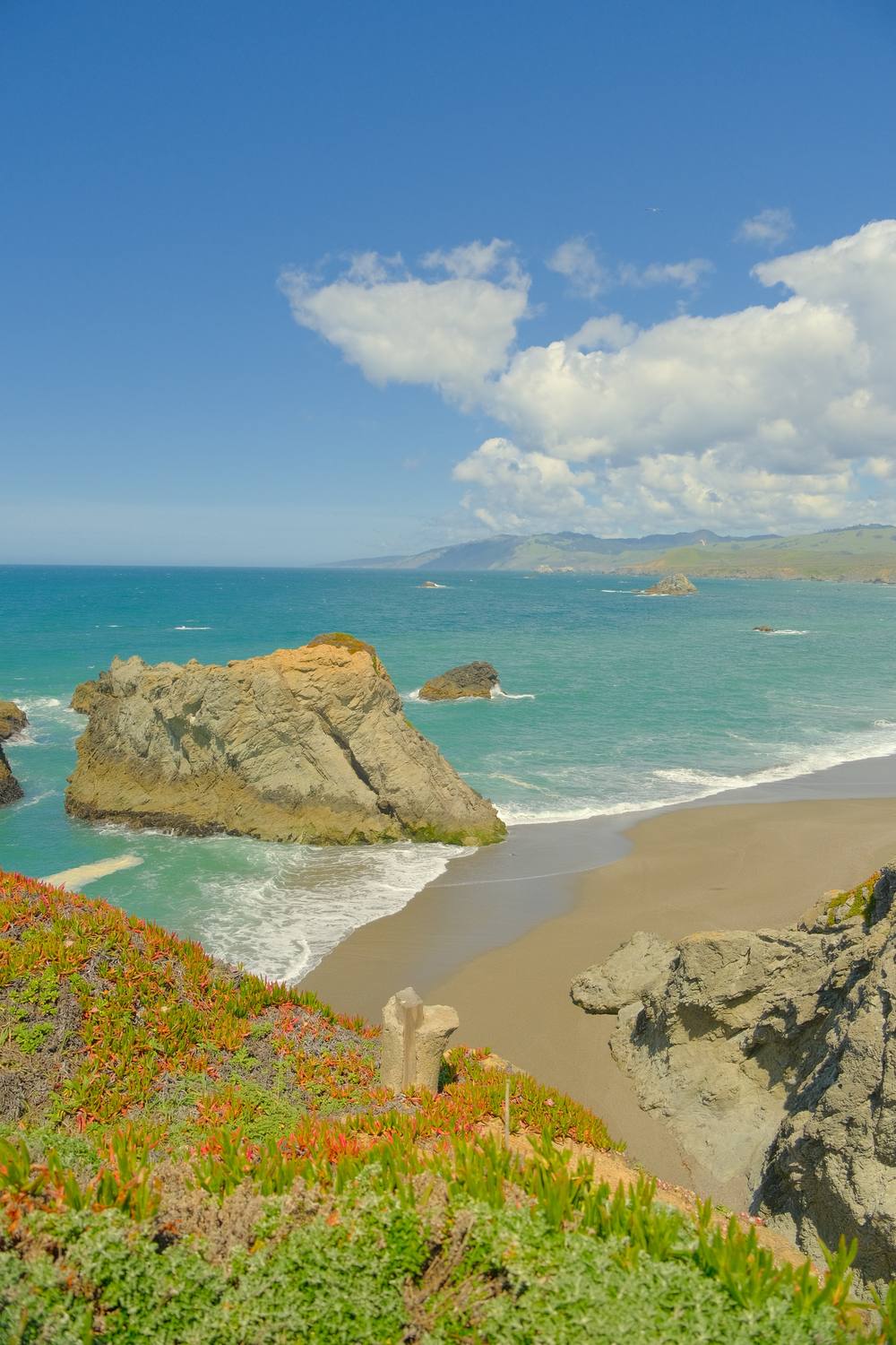 Looking down a bluff covered in pink ice plant to a small sandy beach and a big sea stack in turquoise water, with more rocks and hazy headlands beyond.