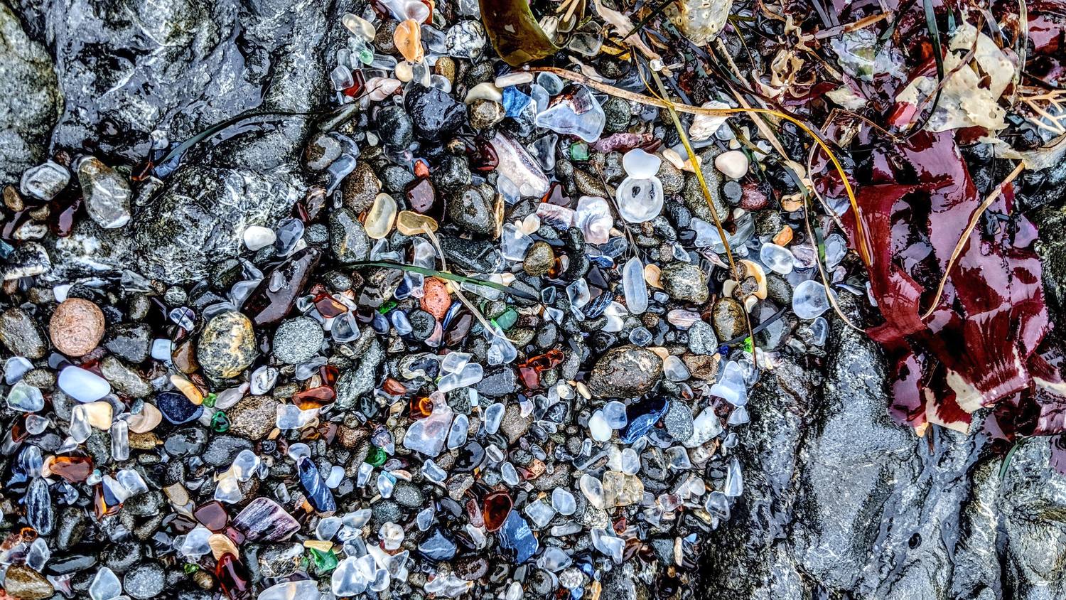 Close-up of wet sea glass in white, blue, green, amber, and brown mixed with dark pebbles and strands of red seaweed.