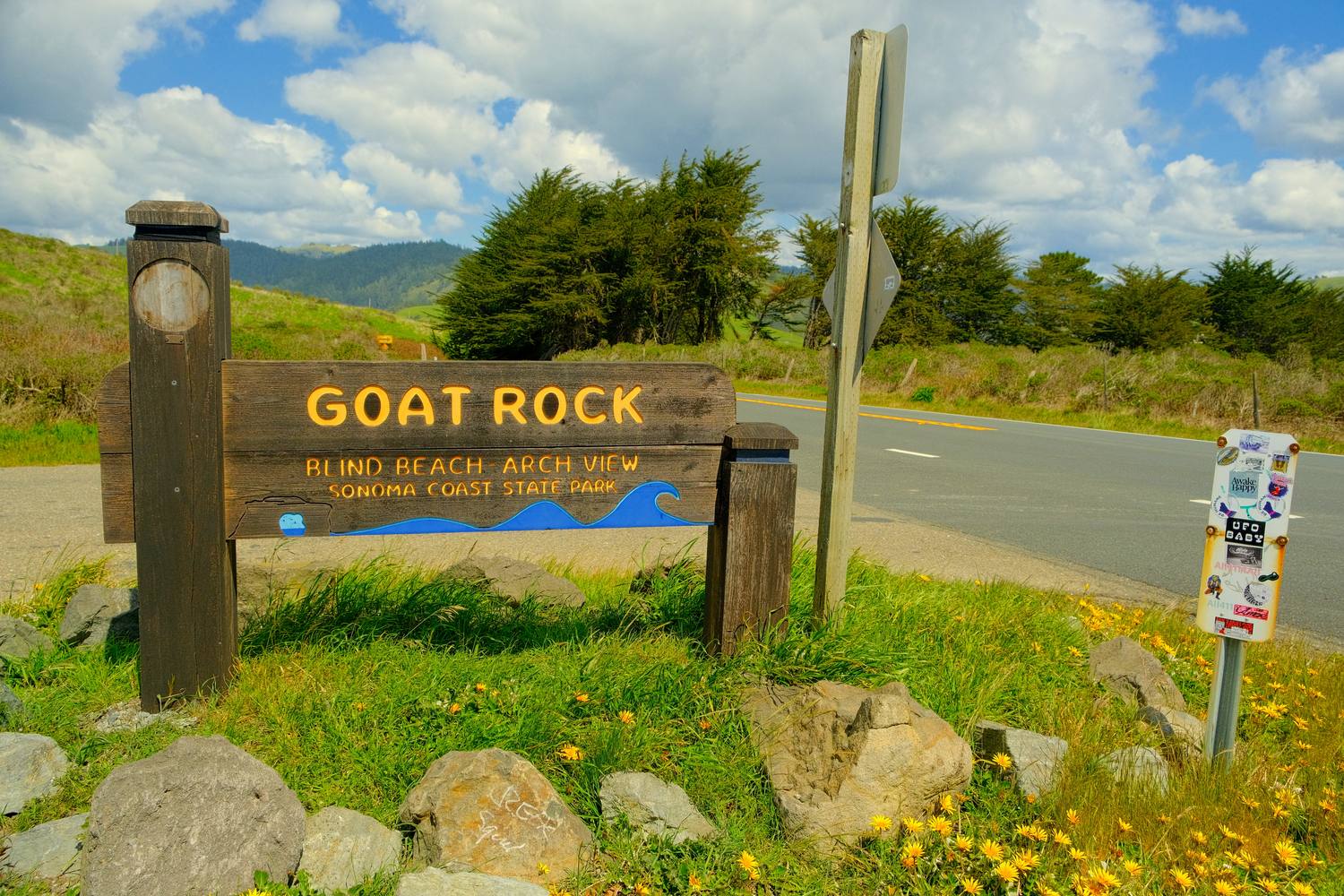 A wooden sign reading Goat Rock, Blind Beach, Arch View, Sonoma Coast State Park, surrounded by rocks and yellow wildflowers, with cypress trees and hills behind.