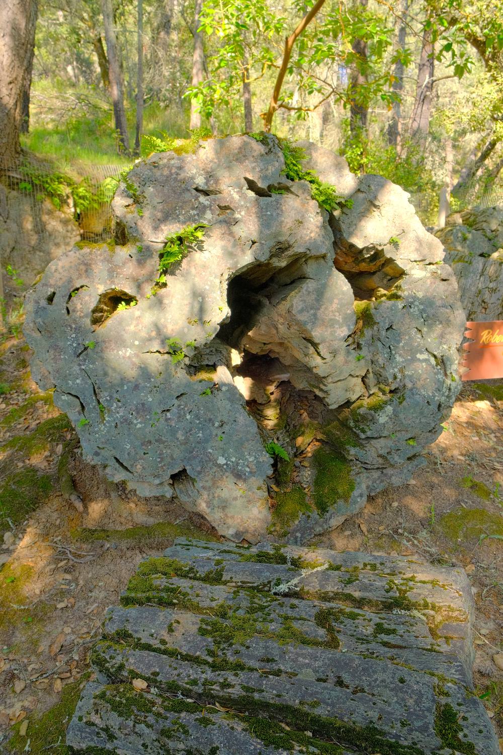 The end of a hollow petrified log, its stone walls twisted and holed like a cave.
