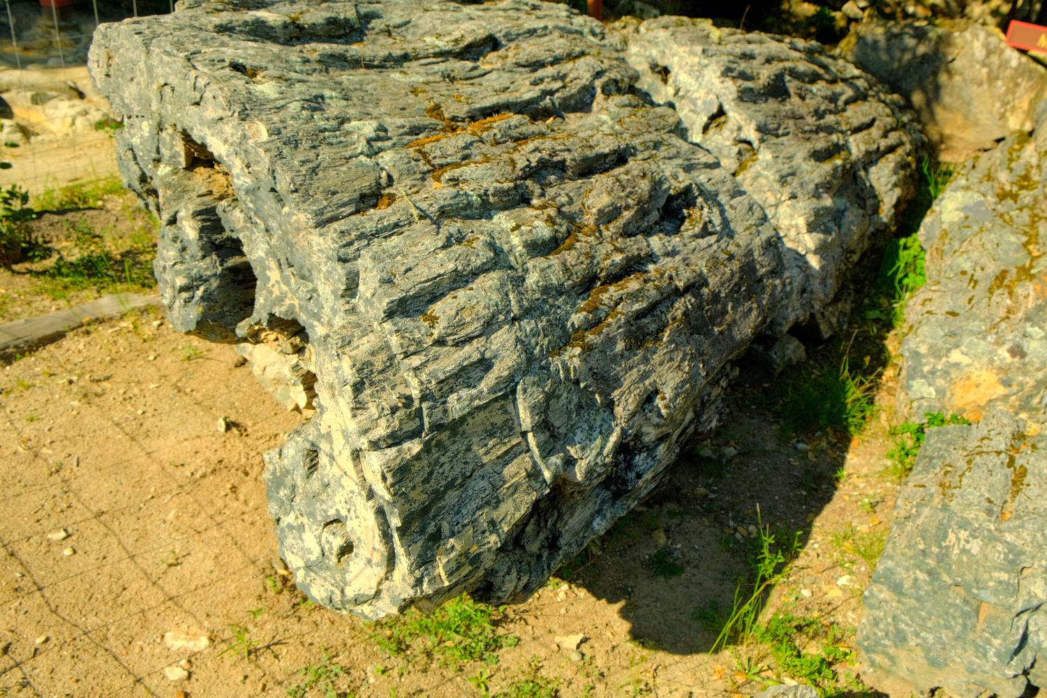 A huge gray petrified log with deep bark-like texture, lying on bare dirt.