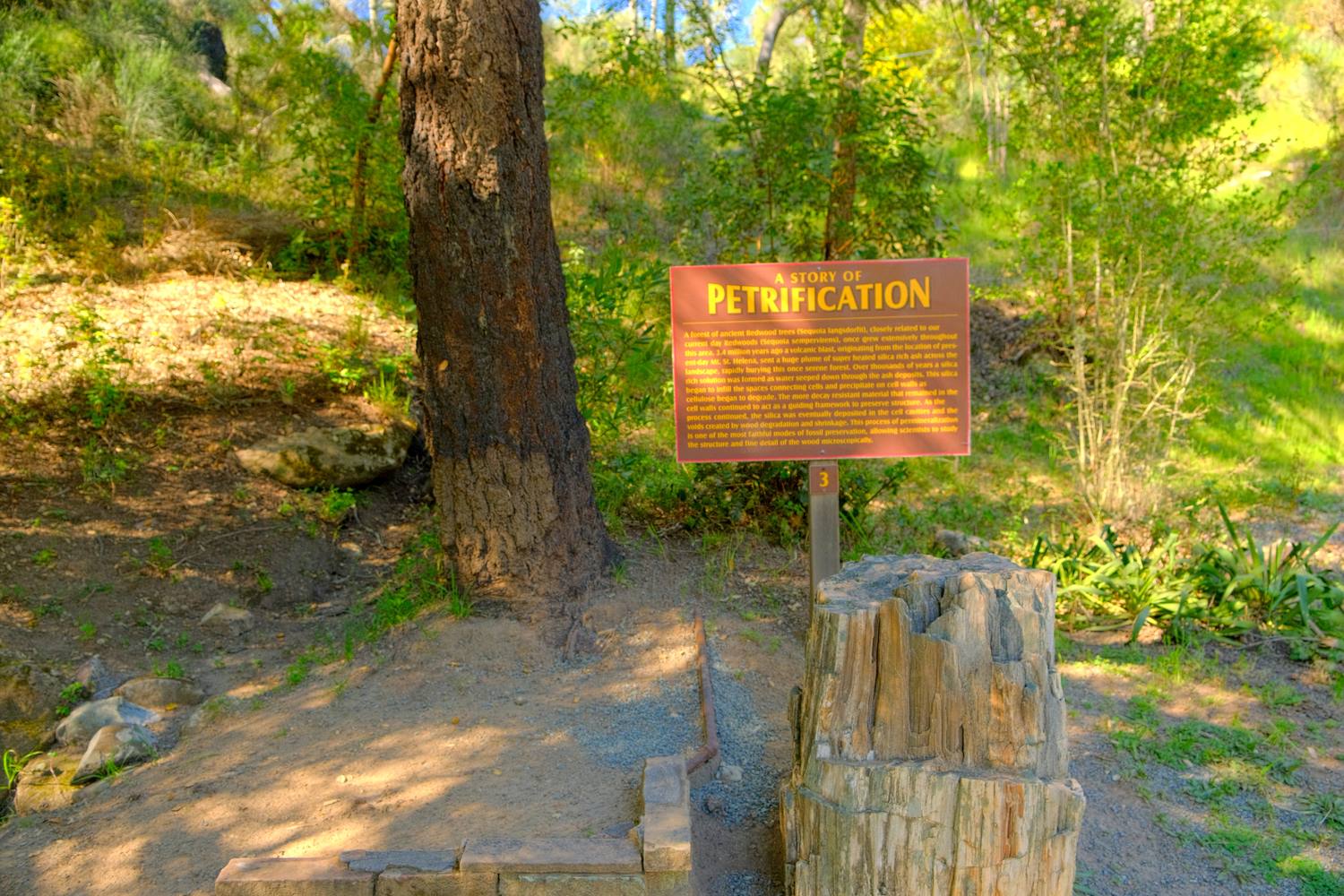 A trail sign titled A Story of Petrification beside a short, stony stump of petrified wood.