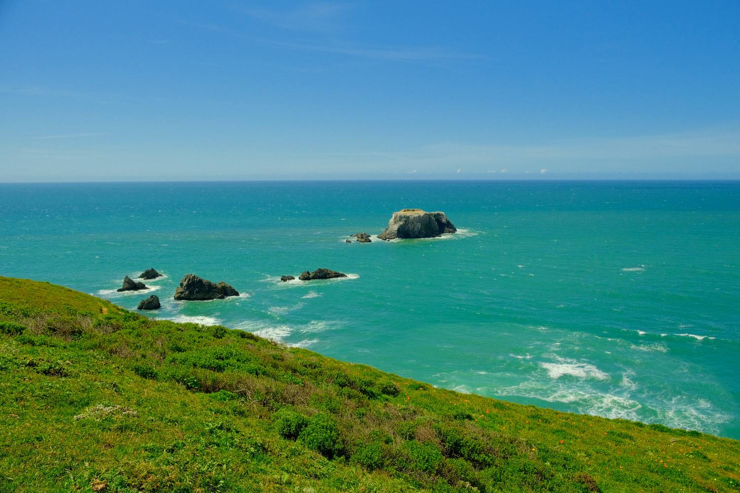 A steep green hillside dropping toward a teal ocean scattered with dark sea stacks and white foam, under a clear blue sky.