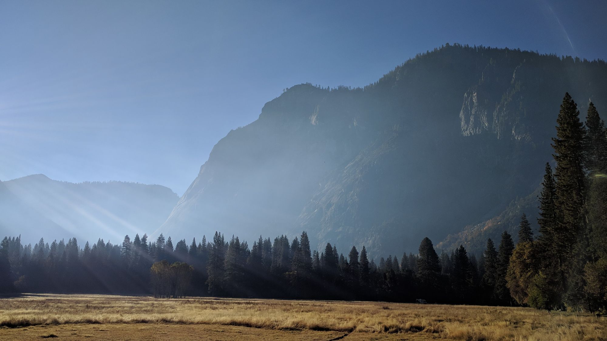 Early morning in Yosemite Valley: sunbeams cut through haze over a dry golden meadow, with a dark line of pines and a granite wall rising behind.
