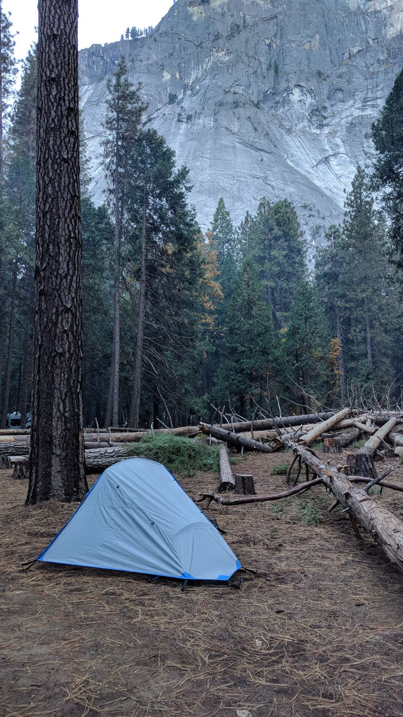 A small gray dome tent pitched on bare ground among tall pines and fallen logs, with a granite cliff rising behind.