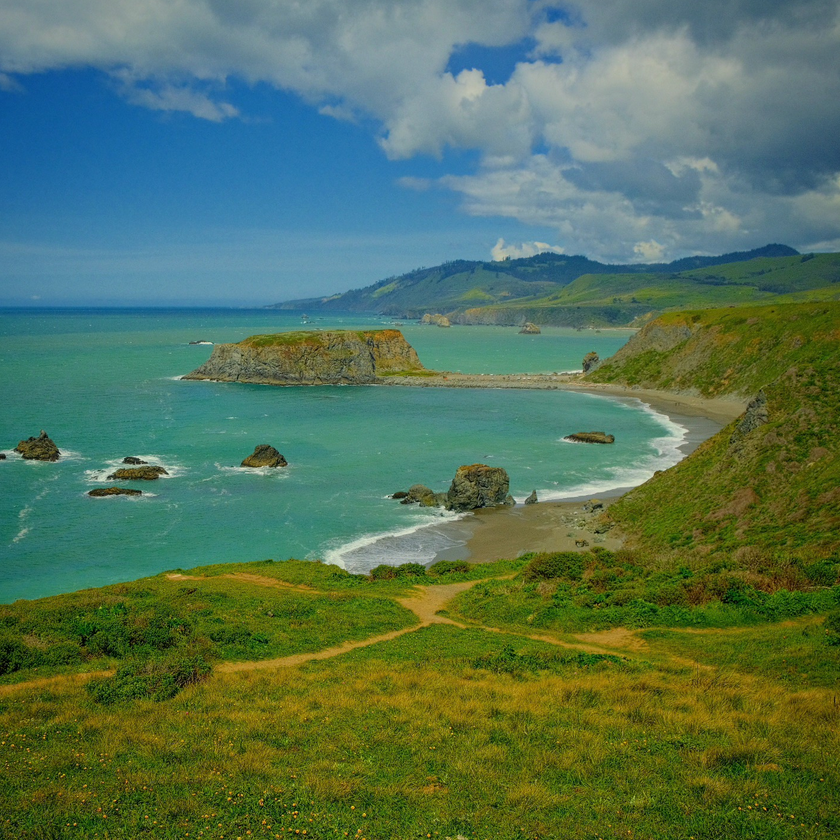 Goat Rock Beach on the Sonoma Coast, with Pacific surf, a broad sandy shoreline, and rocky headlands near the mouth of the Russian River.