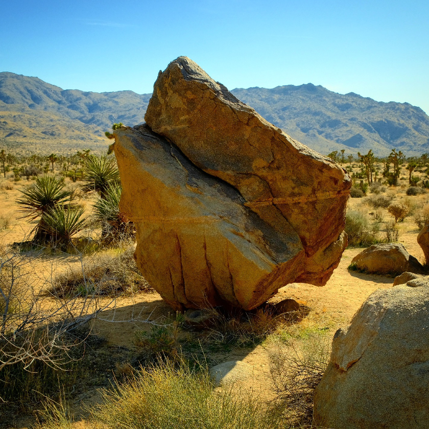 A massive quartz monzogranite boulder formation in Joshua Tree National Park, with rounded blocks, vertical fissures, and desert scrub at its base.