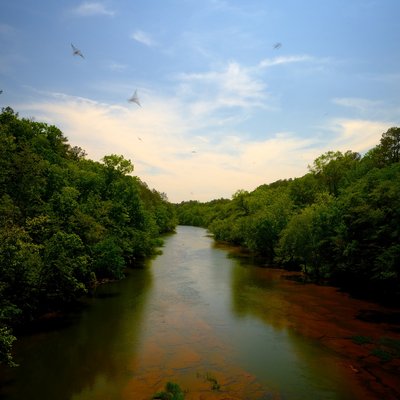 Cahaba River winding through dense forest canopy at Cahaba River National Wildlife Refuge, Alabama