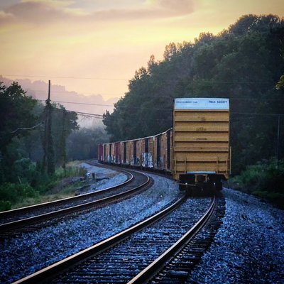 Freight train on railroad tracks at golden hour through dense Central Alabama forest